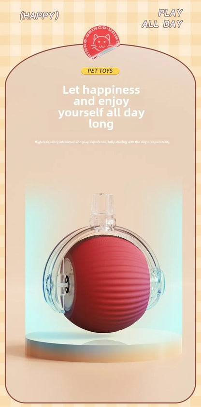 Rechargeable Electric Pet Ball Toy with Simulated Tail