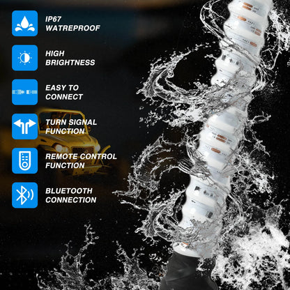 LED Lighted Flagpole Antenna Whips