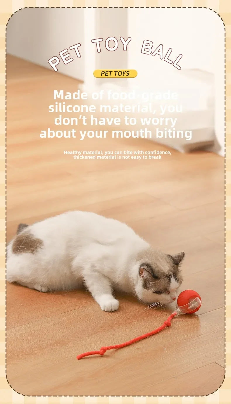 Rechargeable Electric Pet Ball Toy with Simulated Tail