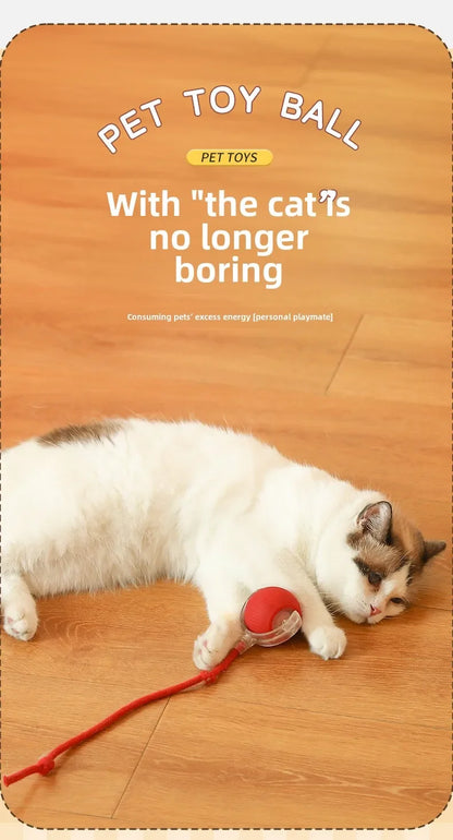 Rechargeable Electric Pet Ball Toy with Simulated Tail