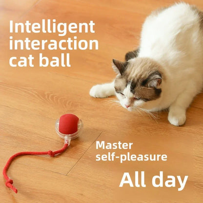 Rechargeable Electric Pet Ball Toy with Simulated Tail