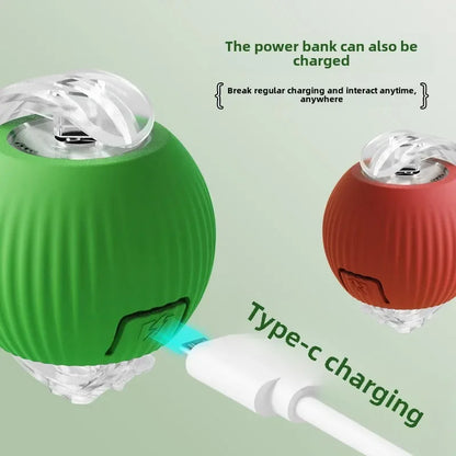 Rechargeable Electric Pet Ball Toy with Simulated Tail