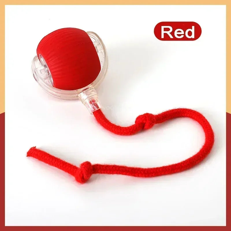 Rechargeable Electric Pet Ball Toy with Simulated Tail