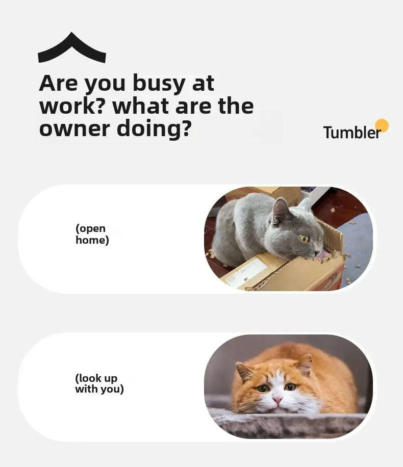 Rechargeable Electric Pet Ball Toy with Simulated Tail