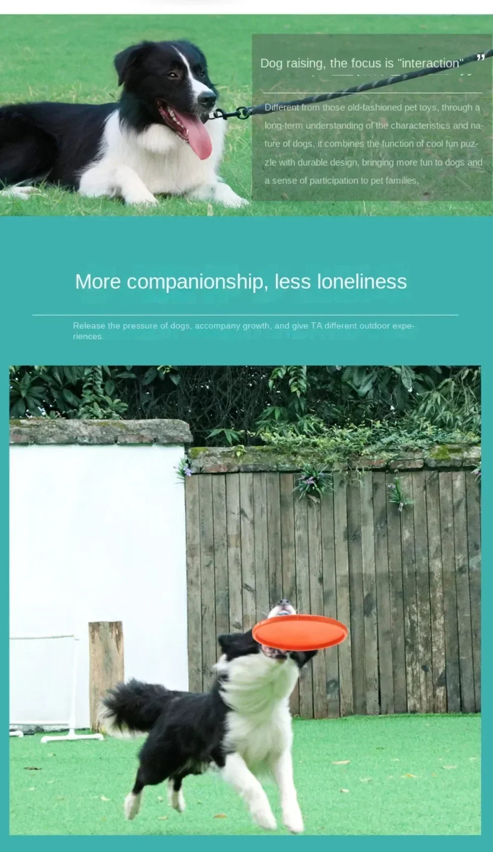 Flying Disc – Dog Toy & Training Game