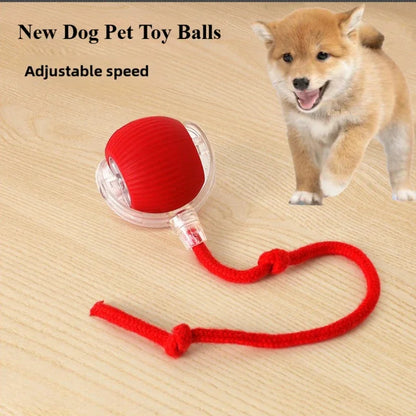 Rechargeable Electric Pet Ball Toy with Simulated Tail