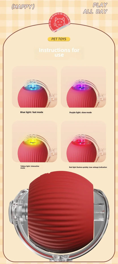 Rechargeable Electric Pet Ball Toy with Simulated Tail