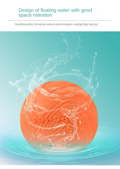 Flying Disc – Dog Toy & Training Game