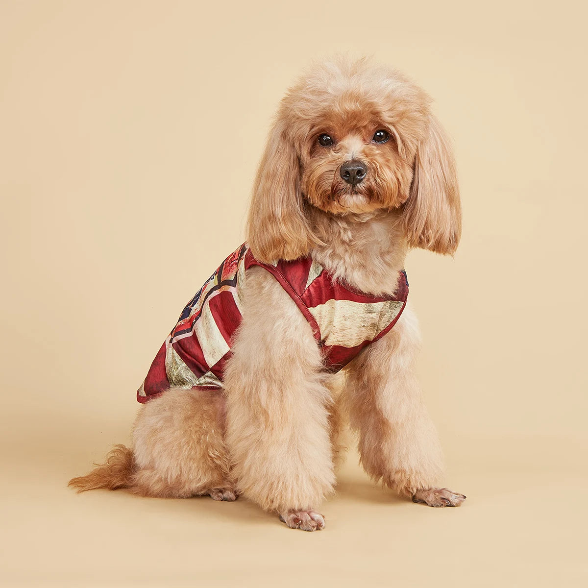 American Flag Pet Outfit – Tank Top & Sweatshirt