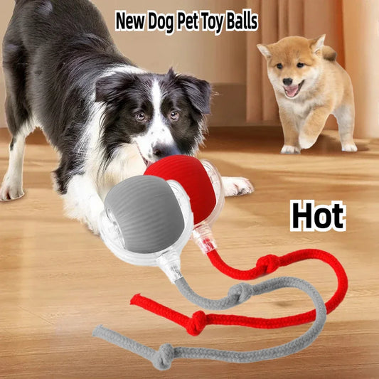 Rechargeable Electric Pet Ball Toy with Simulated Tail