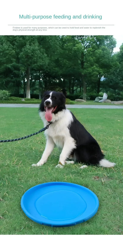 Flying Disc – Dog Toy & Training Game