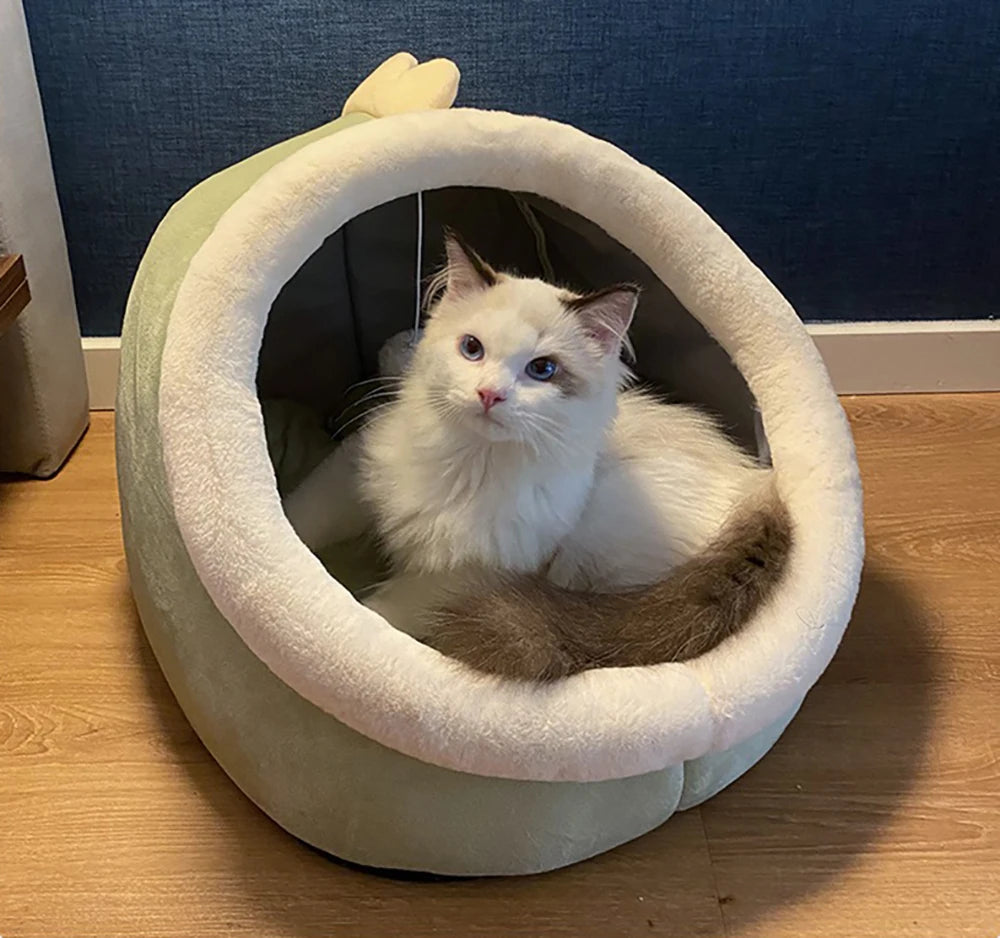 Washable Cozy Pet Lounger & Cat Bed